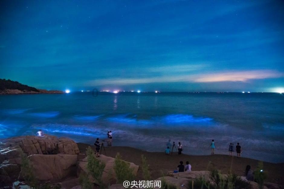 签第3外援？辽篮补强重创粤疆厦，恐提前终结冠军归属悬念